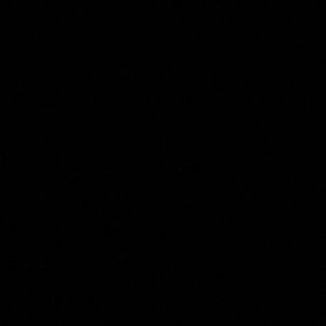 Meet your Posher, Moses